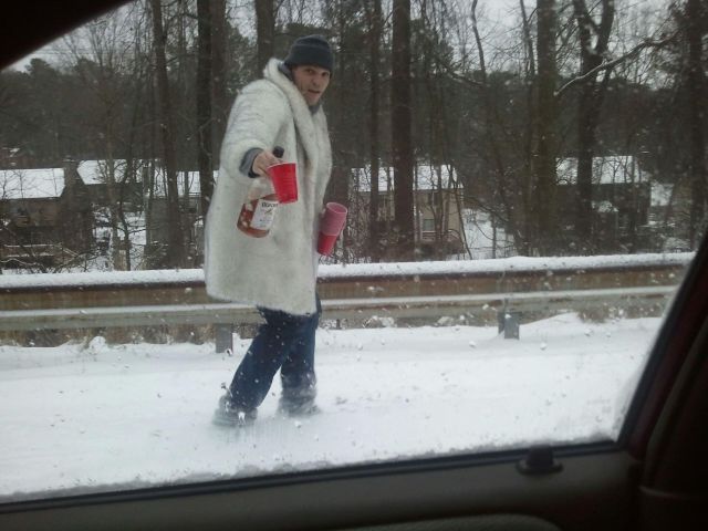 Прикольные картинки (65 фото)