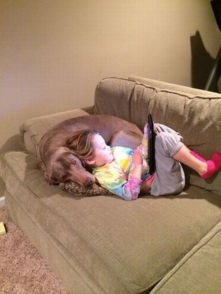 Прикольные картинки (65 фото)