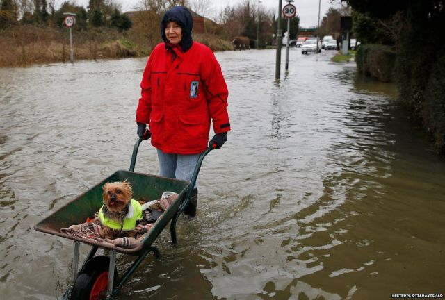 Прикольные картинки (65 фото)