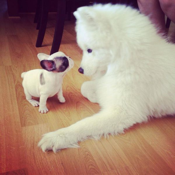 Прикольные картинки (65 фото)