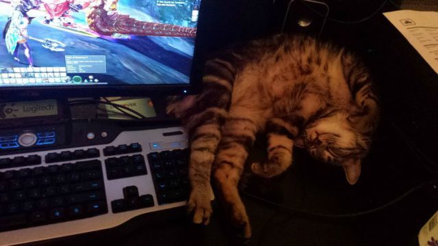 Прикольные картинки (65 фото)