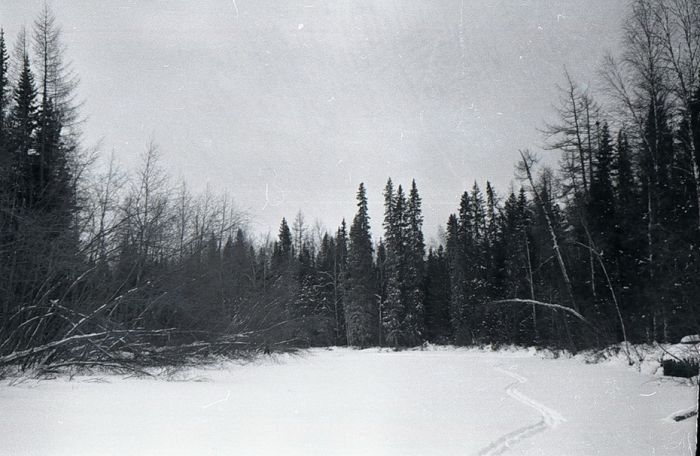 Гибель группы Дятлова