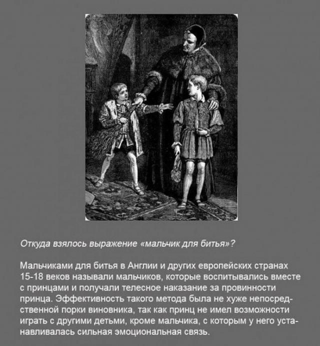 Интересные факты в картинках