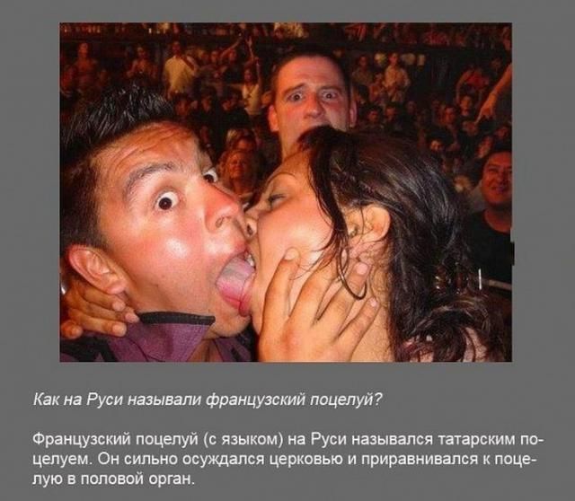 Интересные факты в картинках