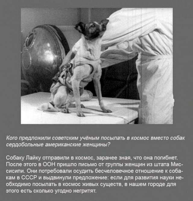 Интересные факты в картинках