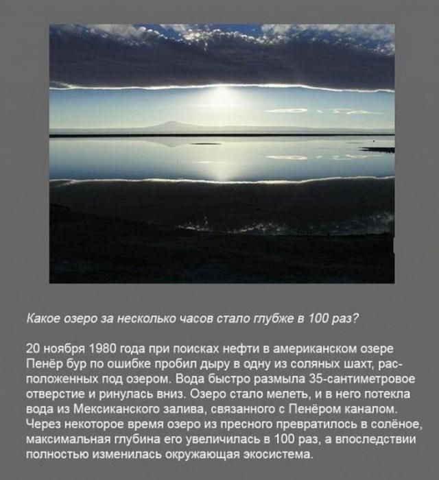 Интересные факты в картинках