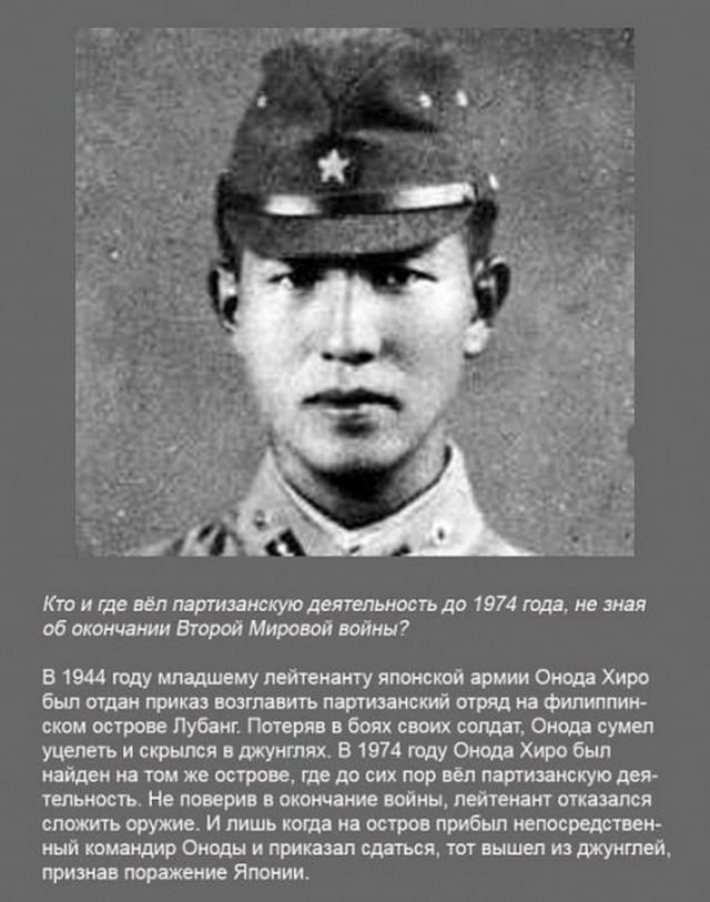 Интересные факты в картинках