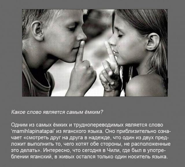 Интересные факты в картинках