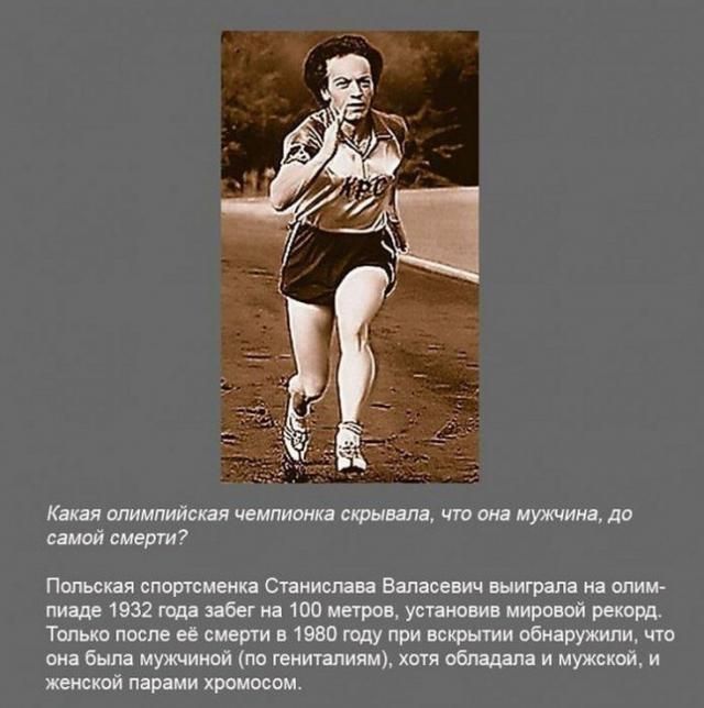 Интересные факты в картинках