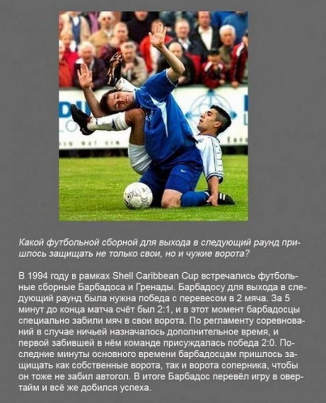 Интересные факты в картинках