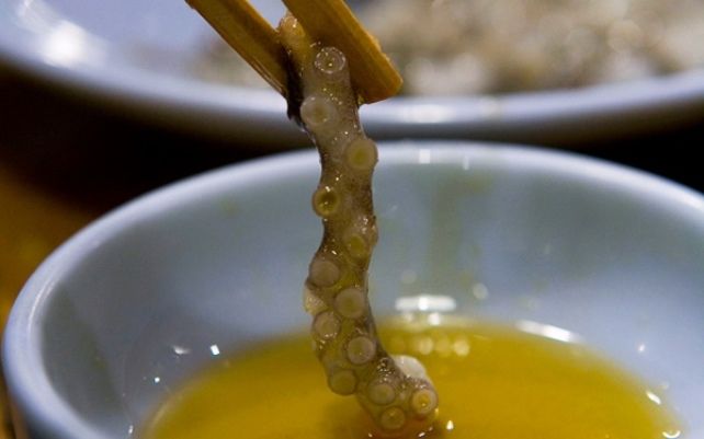 Блюда из живых животных