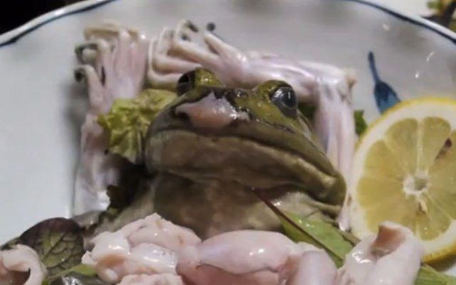 Блюда из живых животных