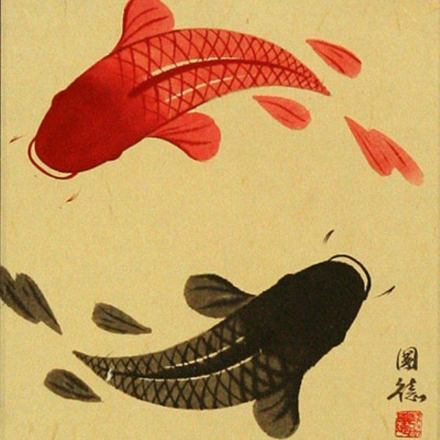 Блюда из живых животных