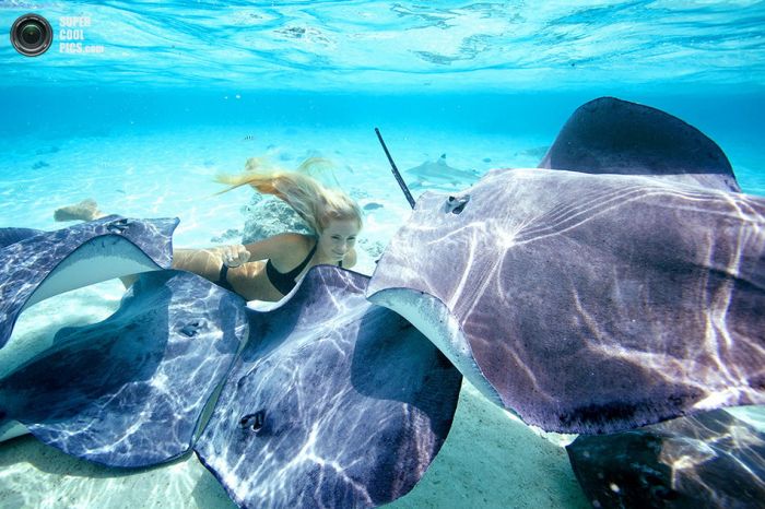 Фотомодель подружилась с акулами-людоедами