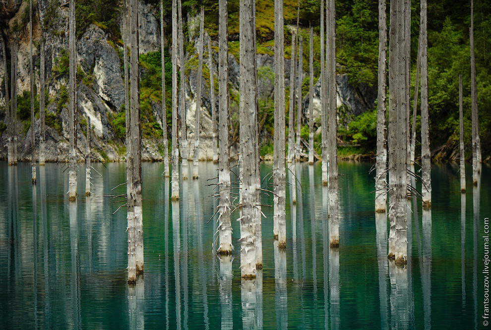 Озеро Каинды: утонувший лес
