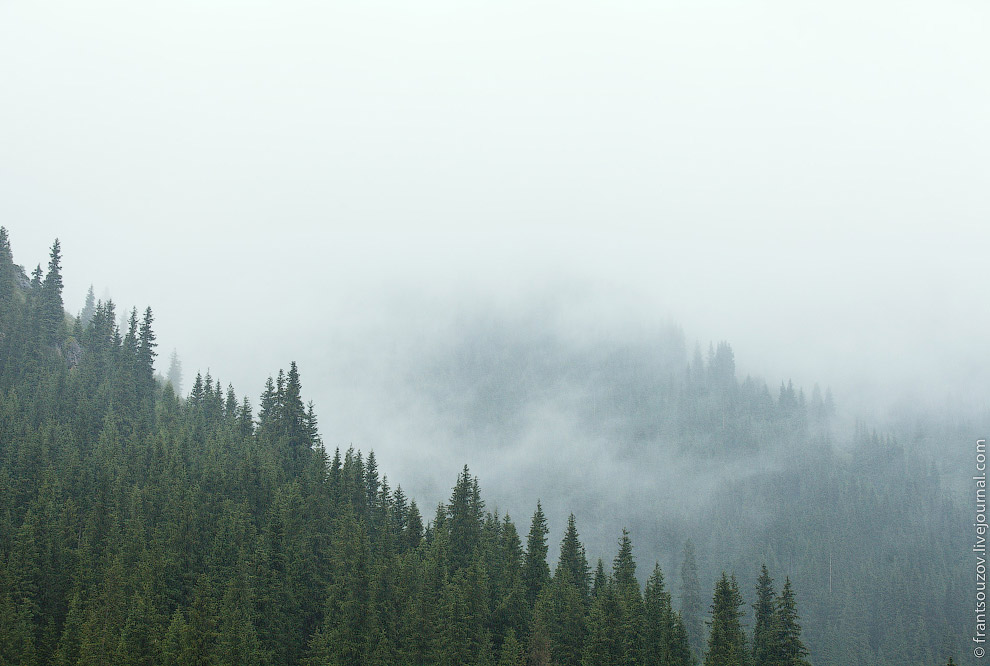 Озеро Каинды: утонувший лес