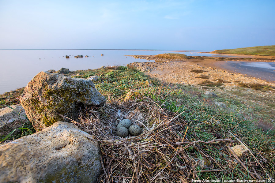 Крымские чудеса или самое соленое озеро в Крыму
