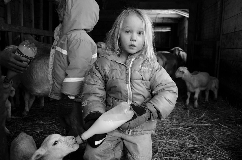 11-й Международный конкурс фотографии от журнала Smithsonian