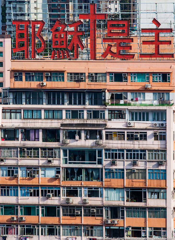 Добро пожаловать в Матрицу!