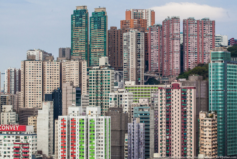 Добро пожаловать в Матрицу!