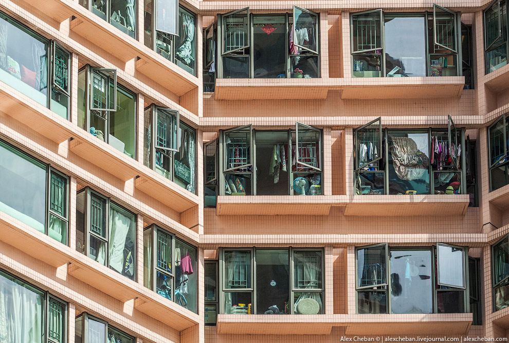 Добро пожаловать в Матрицу!