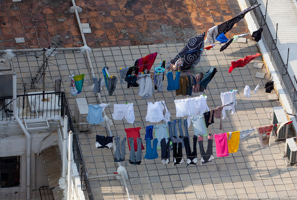 Добро пожаловать в Матрицу!