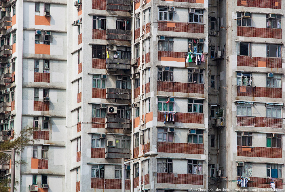 Добро пожаловать в Матрицу!