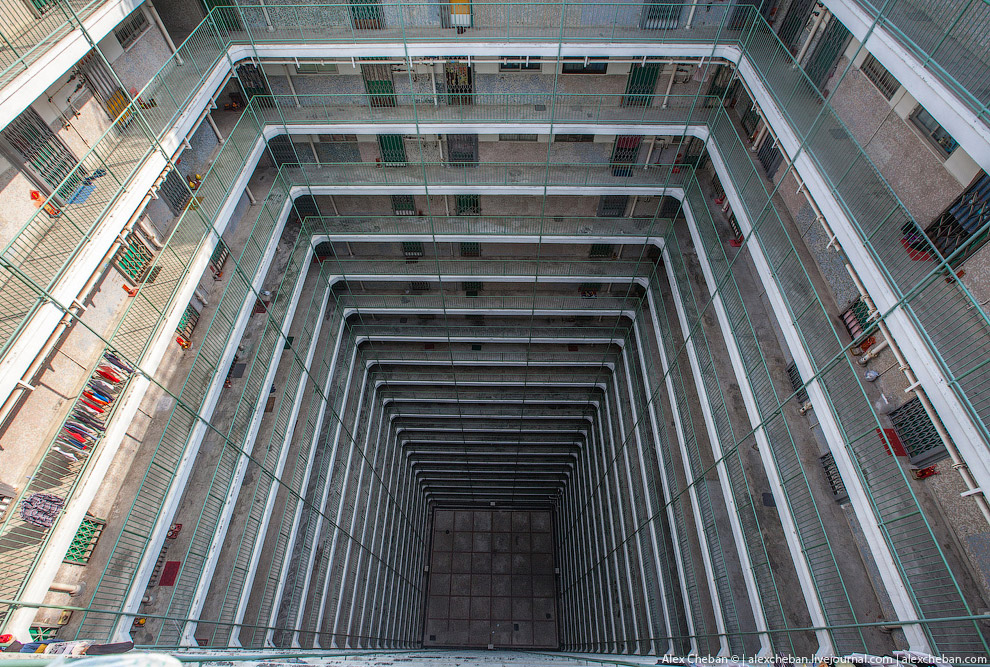 Добро пожаловать в Матрицу!