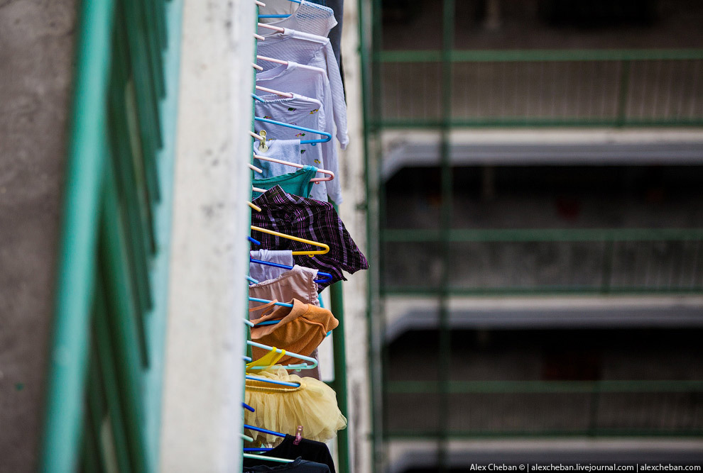 Добро пожаловать в Матрицу!