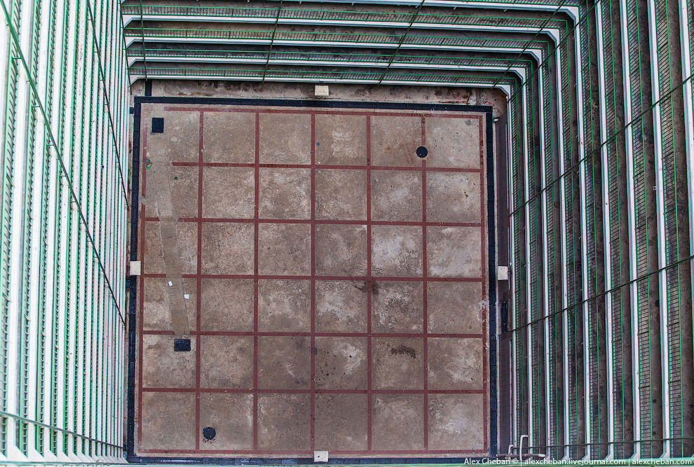 Добро пожаловать в Матрицу!