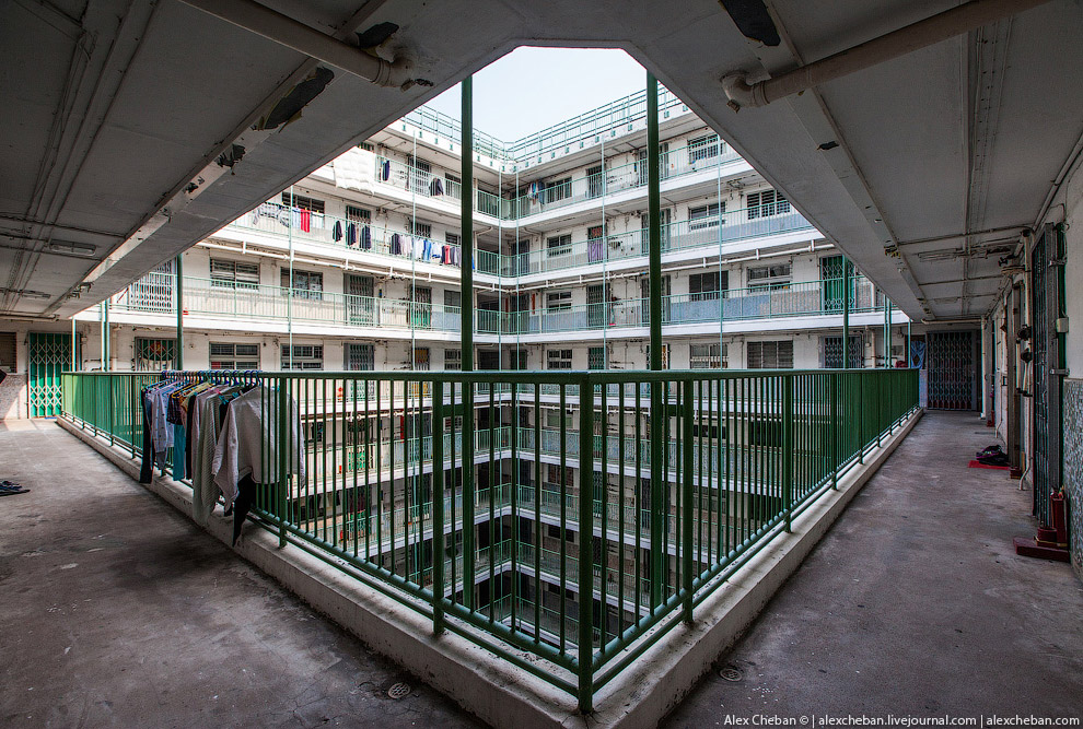 Добро пожаловать в Матрицу!