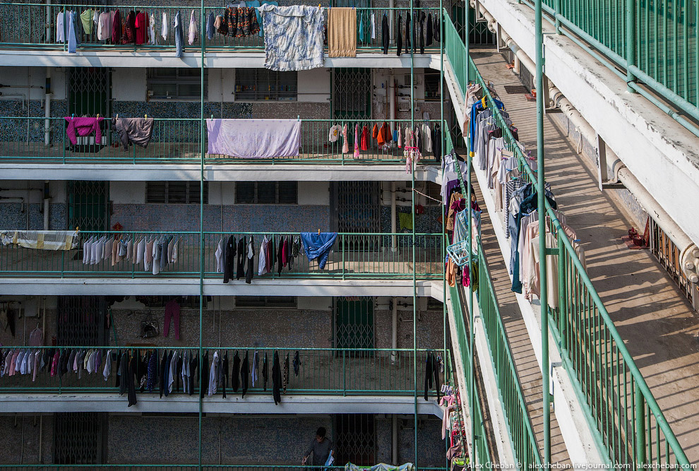 Добро пожаловать в Матрицу!