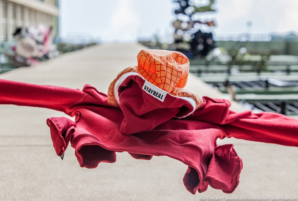 Добро пожаловать в Матрицу!