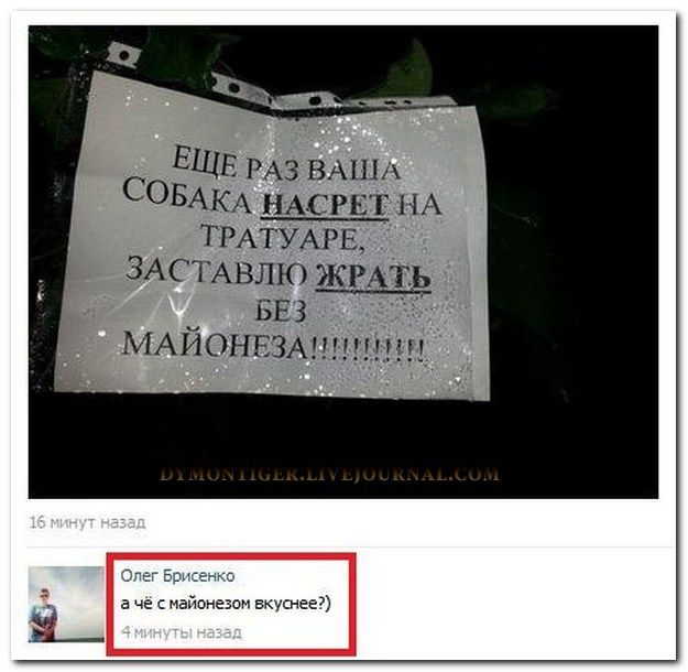 Веселые комментарии из социальных сетей (40 фото)