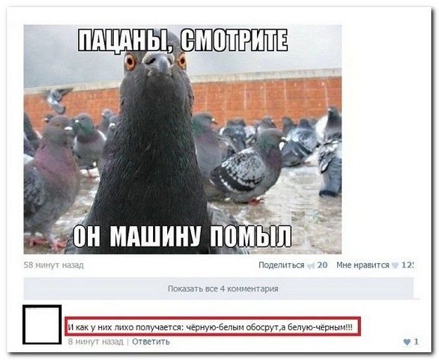 Веселые комментарии из социальных сетей (40 фото)
