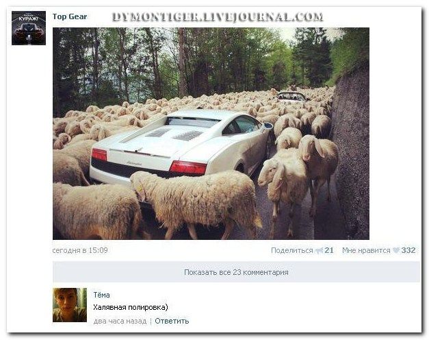 Веселые комментарии из социальных сетей (40 фото)