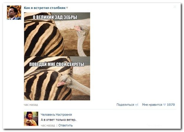 Веселые комментарии из социальных сетей (40 фото)