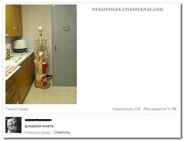 Веселые комментарии из социальных сетей (40 фото)