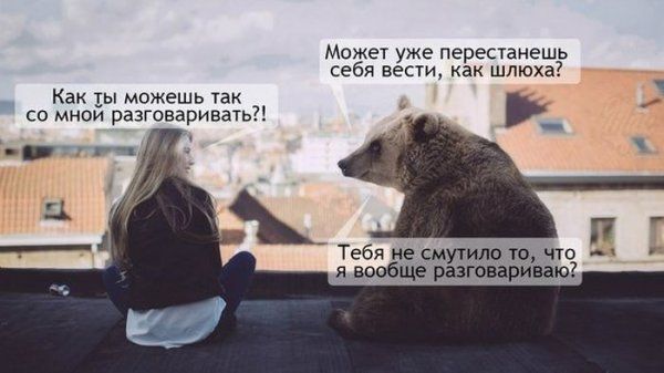 Прикольные картинки  (114 фото)