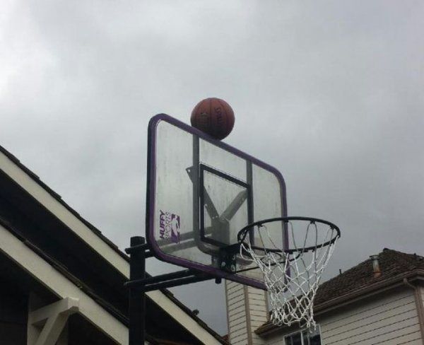 Прикольные картинки  (114 фото)