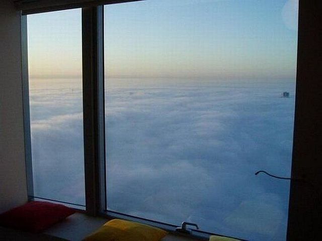 Прикольные картинки  (114 фото)