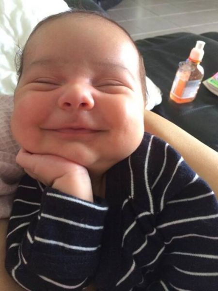 Прикольные картинки  (114 фото)