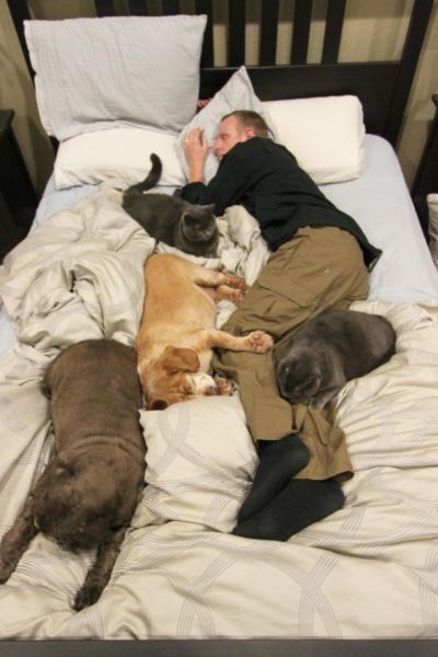 Прикольные картинки  (114 фото)