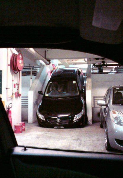 Прикольные картинки  (114 фото)