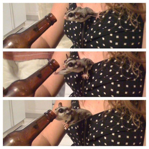 Прикольные картинки  (114 фото)