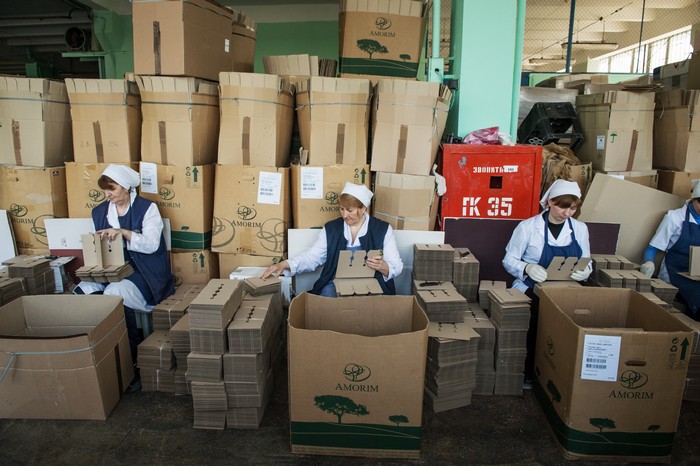 Как работает винодельческий завод «Массандра» в Крыму