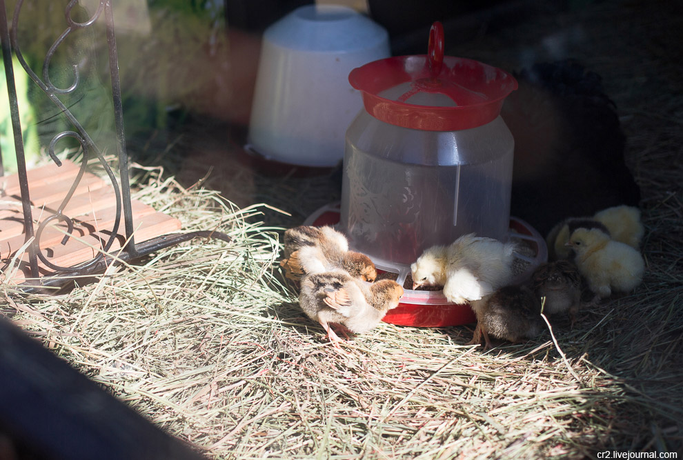 Пасха в Москве