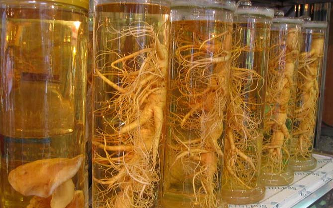 Как укрепить иммунную систему