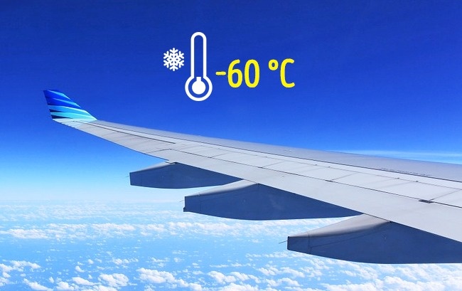 7 хитростей идеального полета, о которых не знает большинство пассажиров