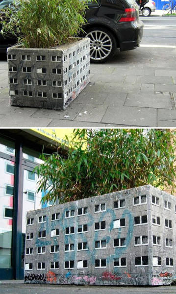 Природа в уличном искусстве